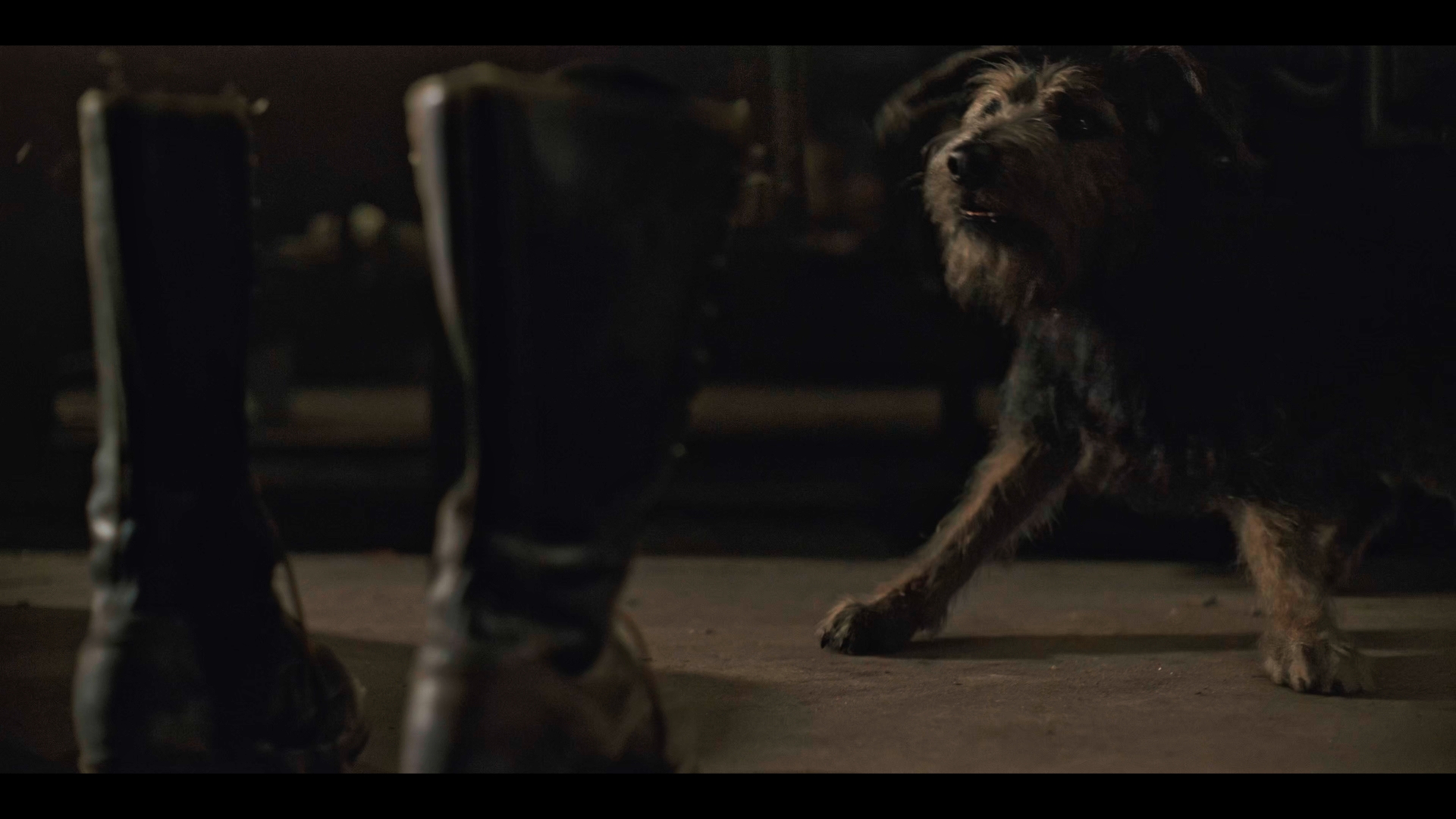 Still 2025 11 01 162053 1.11.2